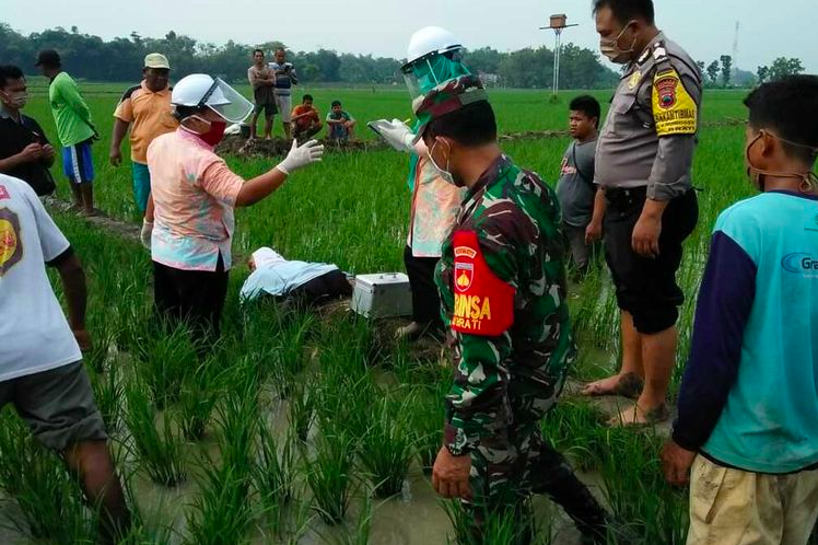 Petugas melakukan evakuasi petani yang tewas di sawah. (gambar: ilustrasi)