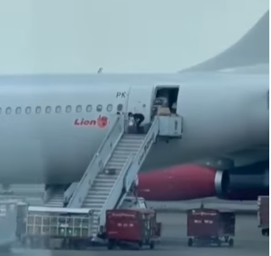 Viral Video Diduga Petugas Gelindingkan Barang Lewat Tangga Pesawat, Ini Respon Lion Air