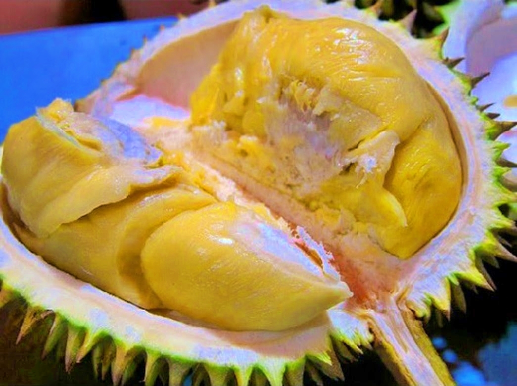 raja buah durian di Candimulyo Magelang