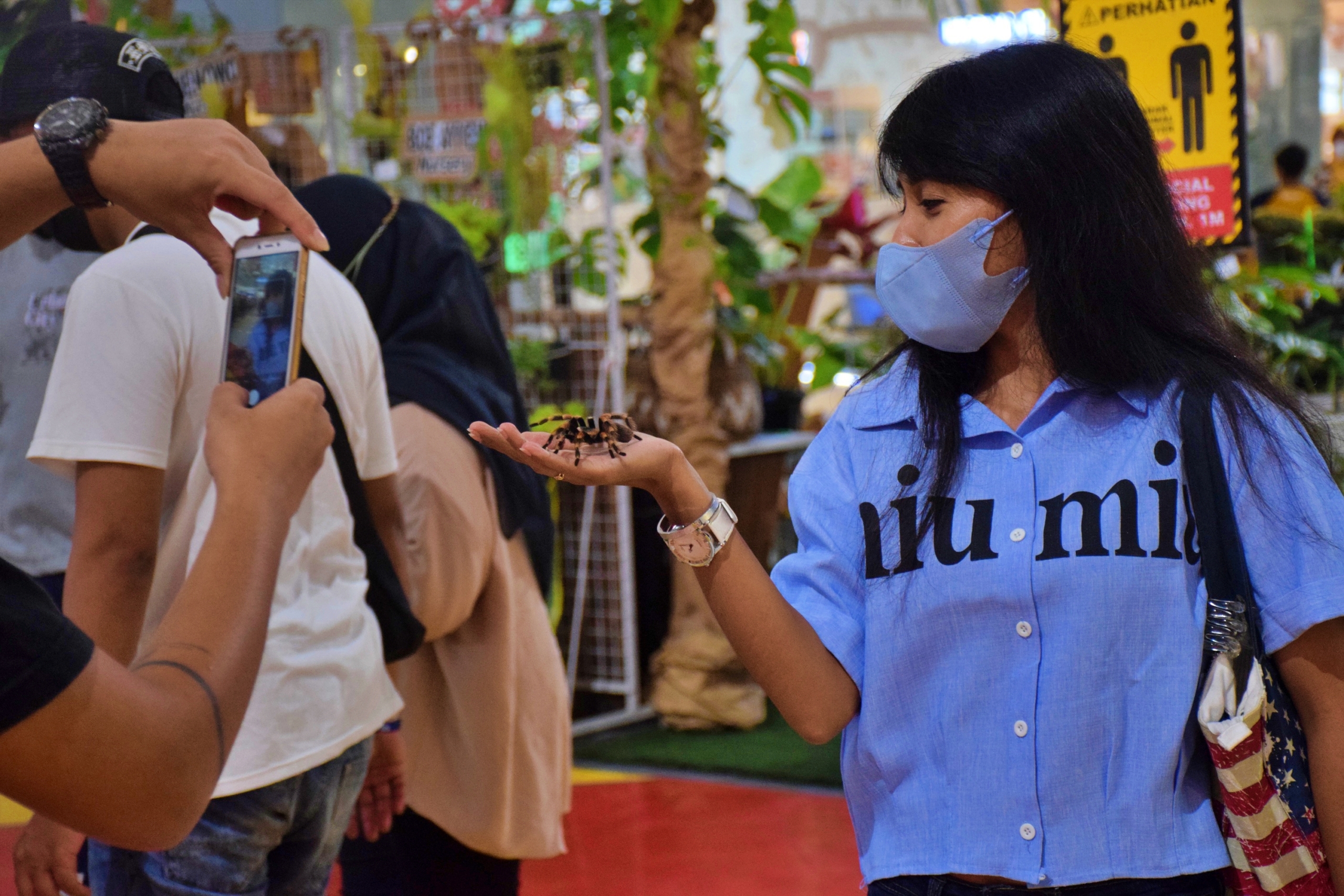 Pengunjung Anak Sedang Ayik Berfoto Dengan Tarantula di Love in Plant