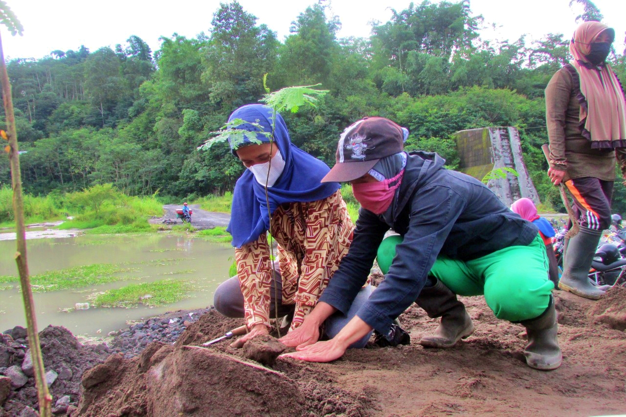 Kembalikan tebing jadi tanggul alami jika erupsi merapi warga srumbung tanam bibit pohon