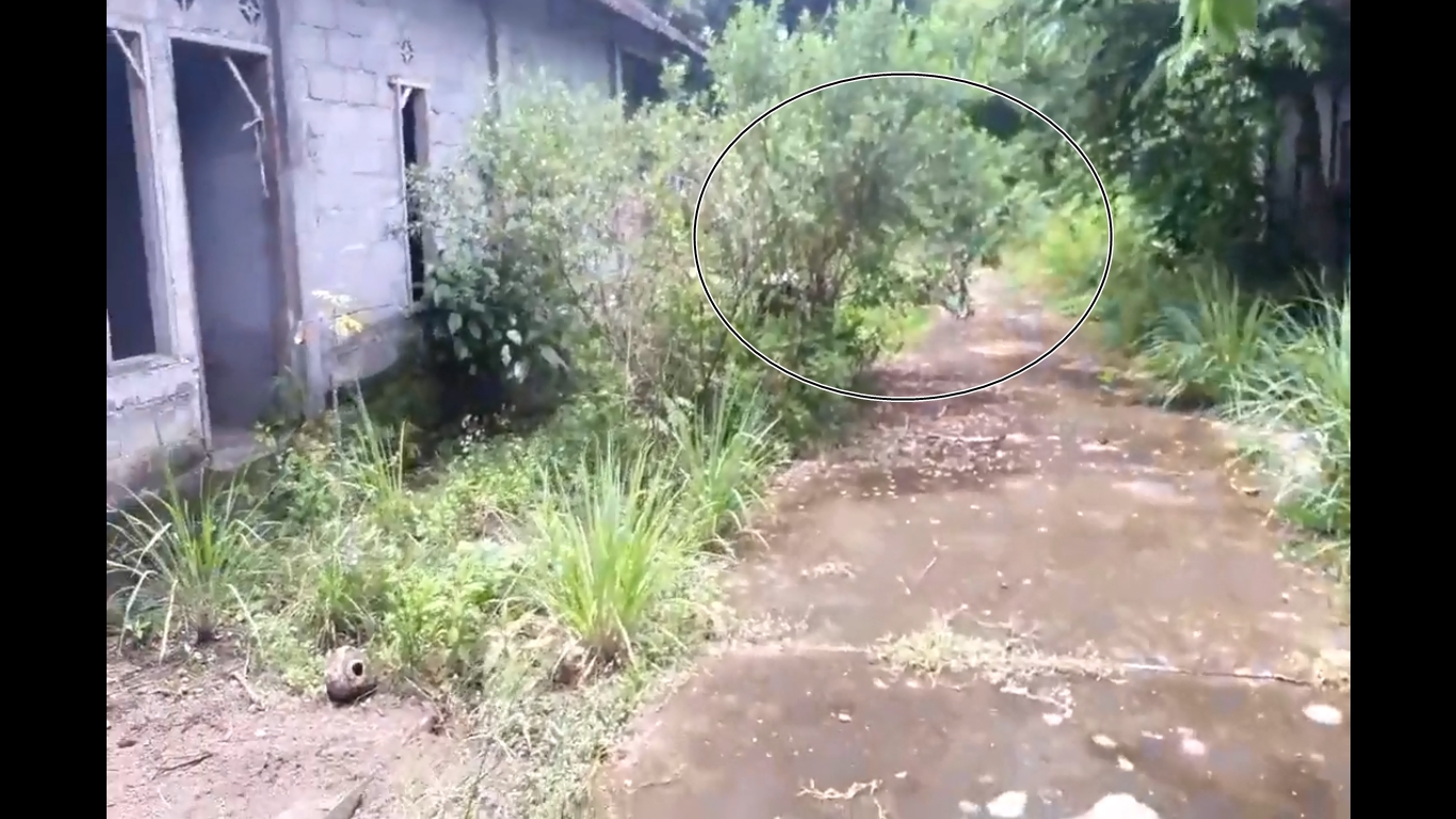 tangkapan layar video huntap saat kurir mengantarkan paket