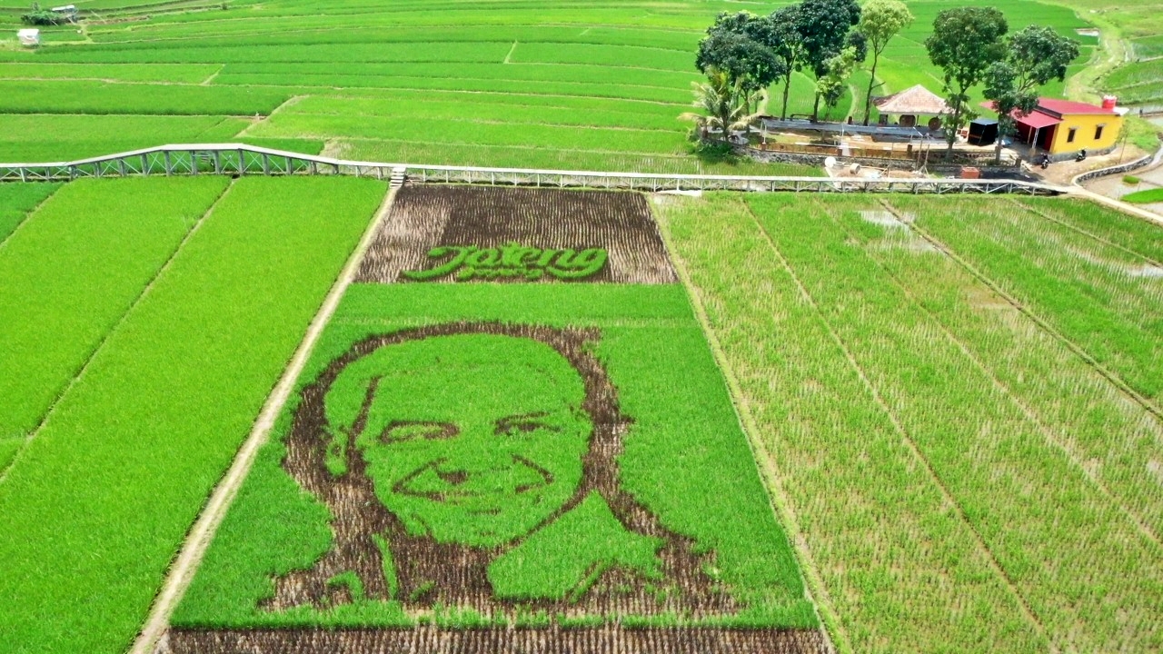 Lahan persawahan hijau dibentuk wajah Ganjar Pranowo