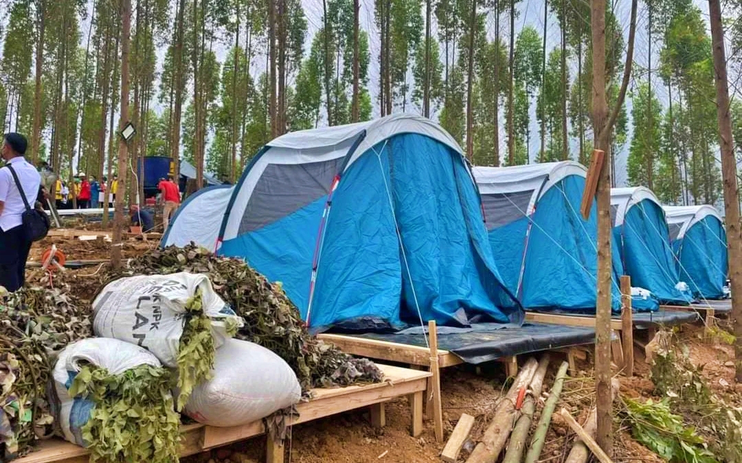 Rencana lokasi kemah Jokowi dan Gubernur di IKN Nusantara di Kalimantan