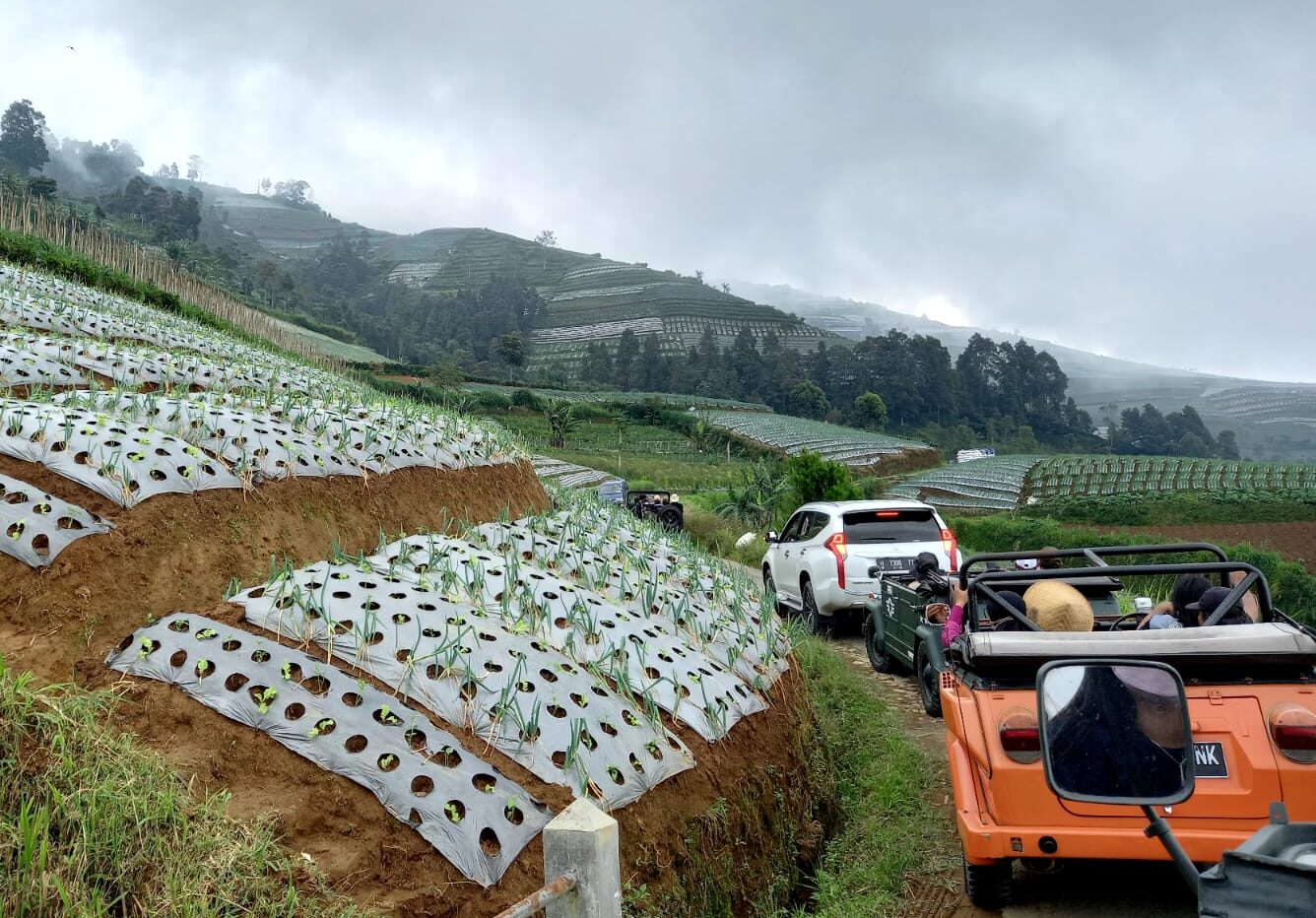 Ini Upaya Komunitas Daya Tarik Wisata di Magelang Dalam Meningkatkan Pelayanan Wisatawan