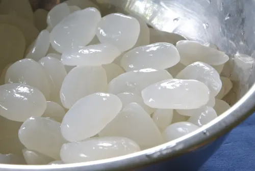 4 Resep Olahan Kolang-Kaling Untuk Menu Buka Puasa, Enak dan Menyegarkan