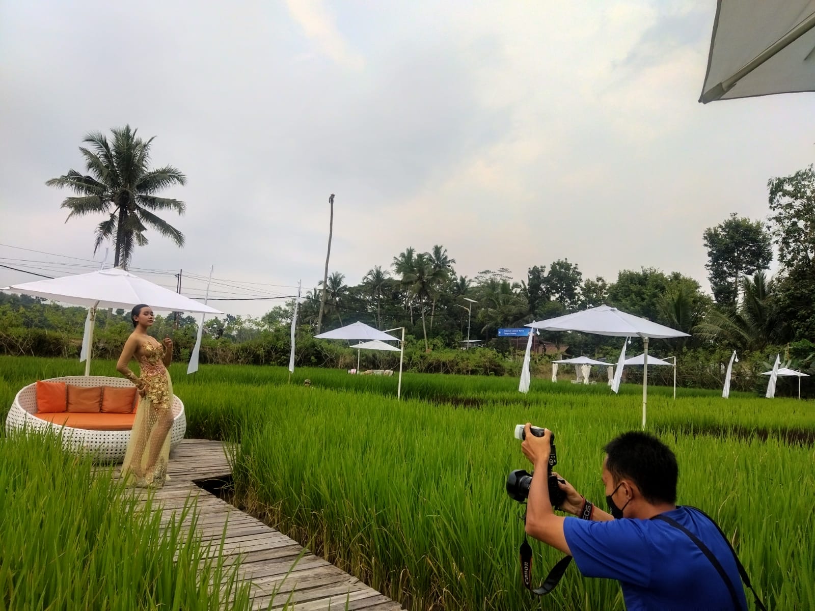 Unik! Fashion Show Kebaya di Area Persawahan Borobudur Magelang