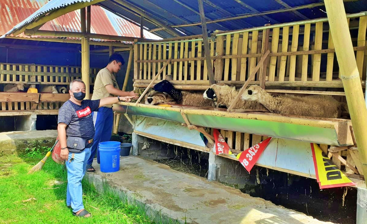 Anggota Komisi II DPRD Kabupaten Magelang, Gunawan Sugiarno menunjukkan kandang kambing yang bersih dan sehat di Desa Seloboro, Salam