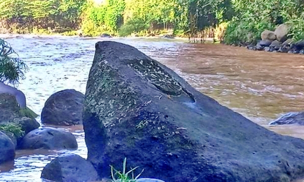 Batu Telapan Buddha di pinggiran Sungai Elo Magelang