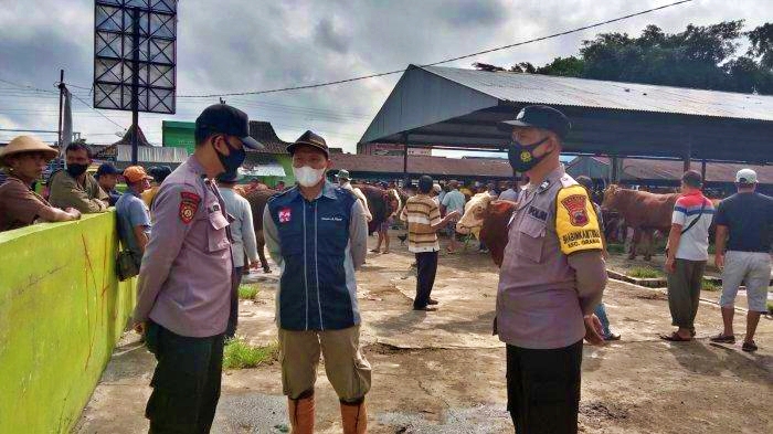 Tim Gabungan Lakukan Monitoring PMK di Pasar Hewan Grabag Kabupaten Magelang