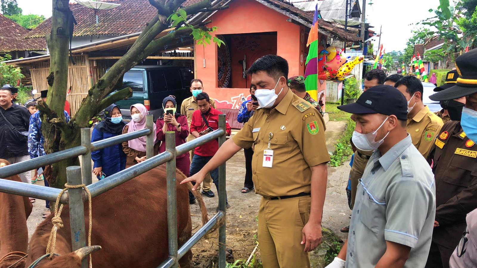 Bupati saat launching vaksin PMK kepada hewan ternak