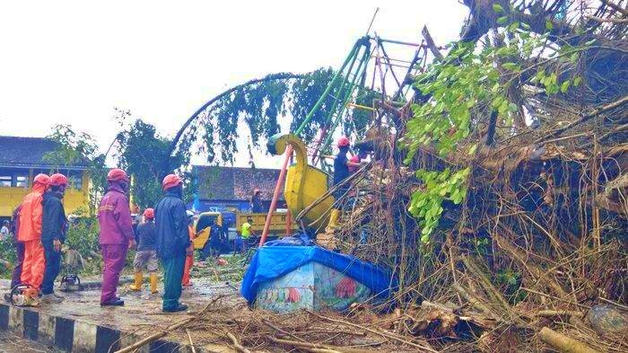 Pohon Beringin Raksasa di Lapangan Denggung Sleman Tumbang