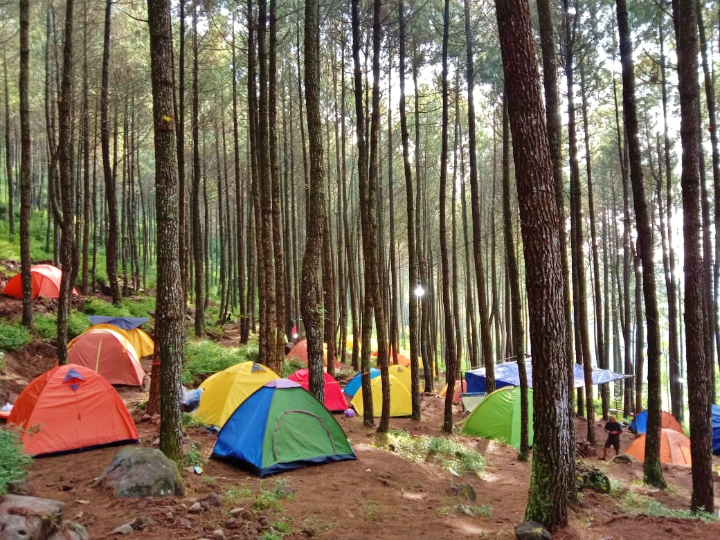 Ratusan tenda pendaki Gunung Andong Magelang