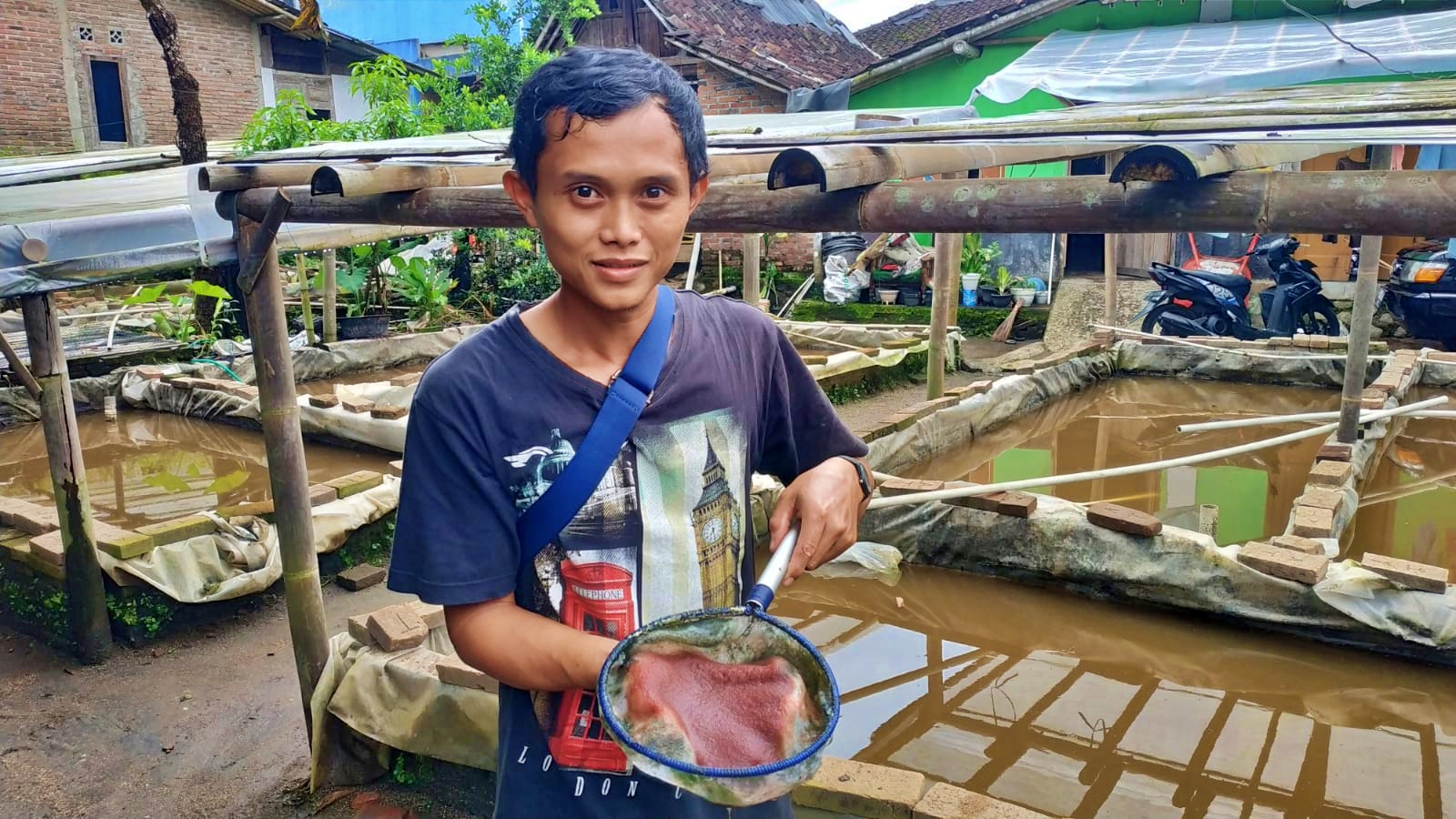 Warga Candimulyo Magelang sukses budidaya pakan ikan hias berupa kutu air