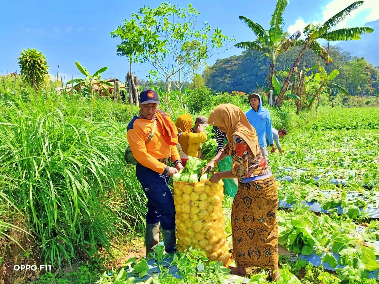 Ansor Kabupaten Magelang saat membeli sayuran dari petani