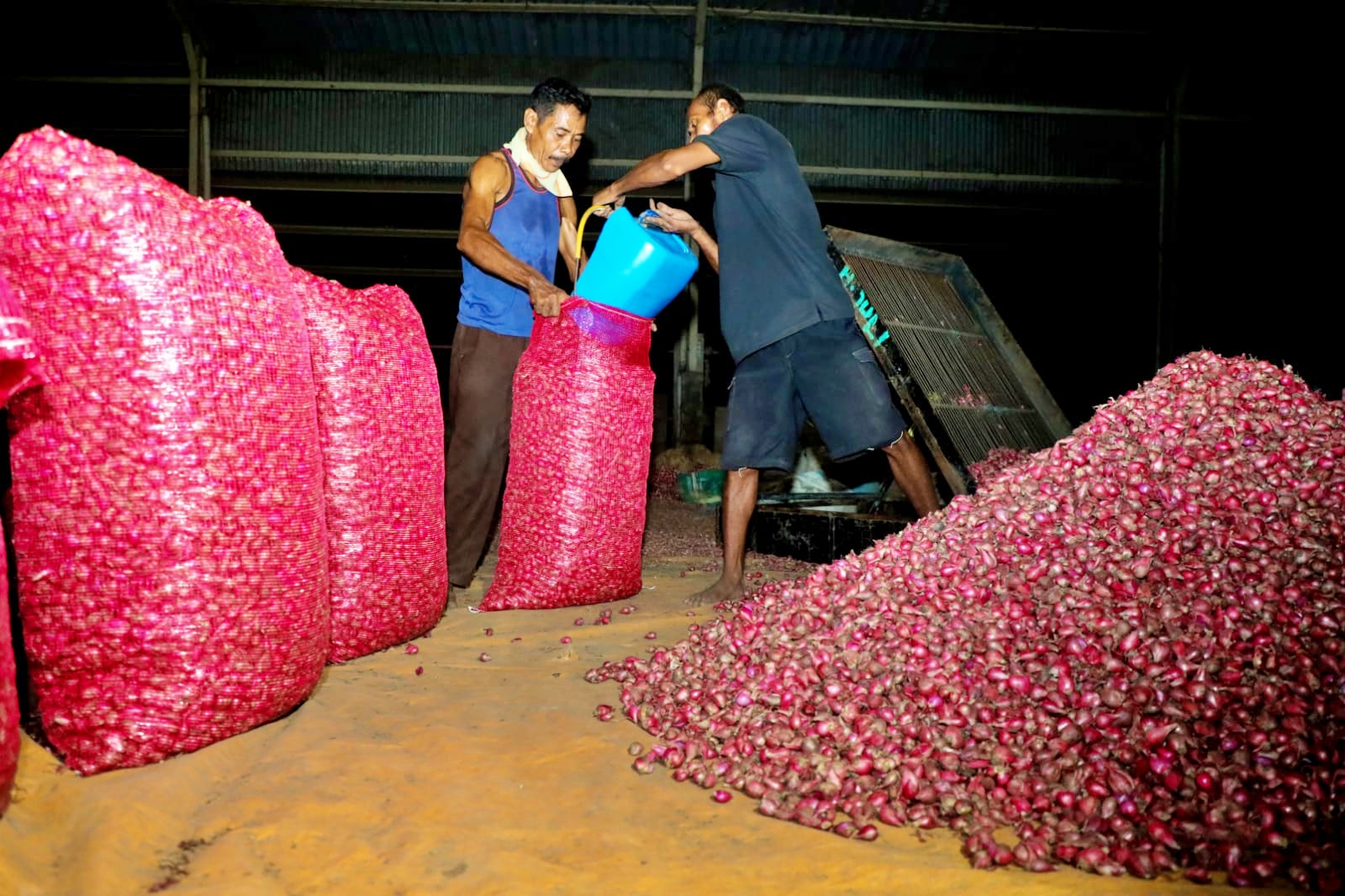 BUMD PD Citra Mandiri Jawa Tengah (CMJT) menjadi off taker