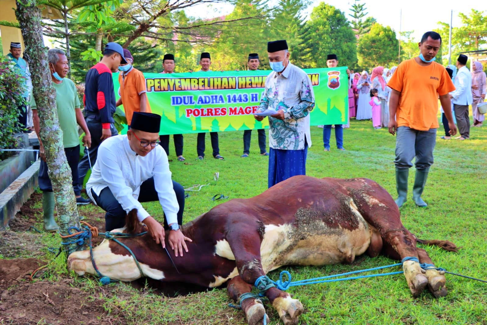 Kapolres Magelang langsung menyembelih sapi kurban saat Idul Adha 2022