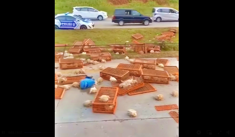 Truk muatan ayam tabrak bus penumpang di jalan tol cikopo