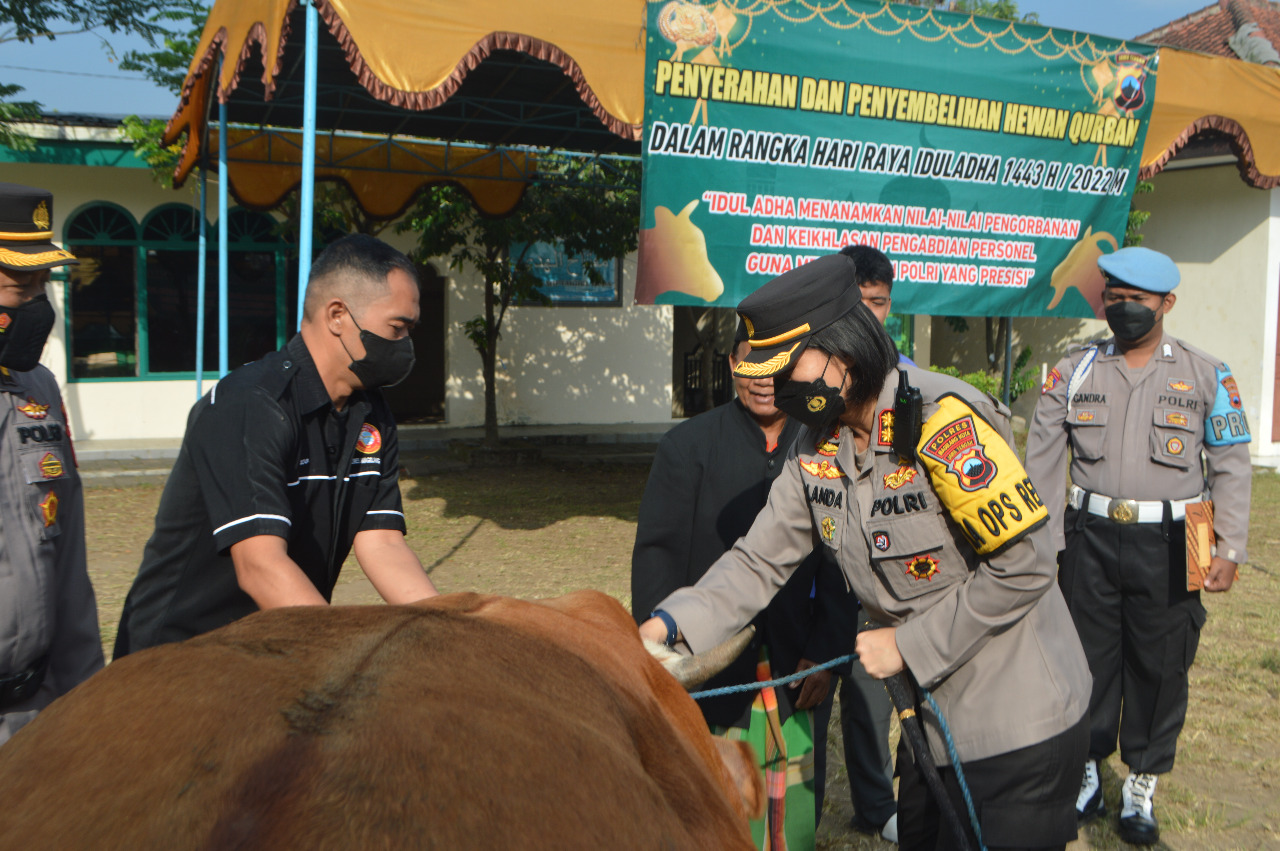 Peringati Iduladha 1443 H, Polres Magelang Kota Salurkan 6 Hewan Kurban