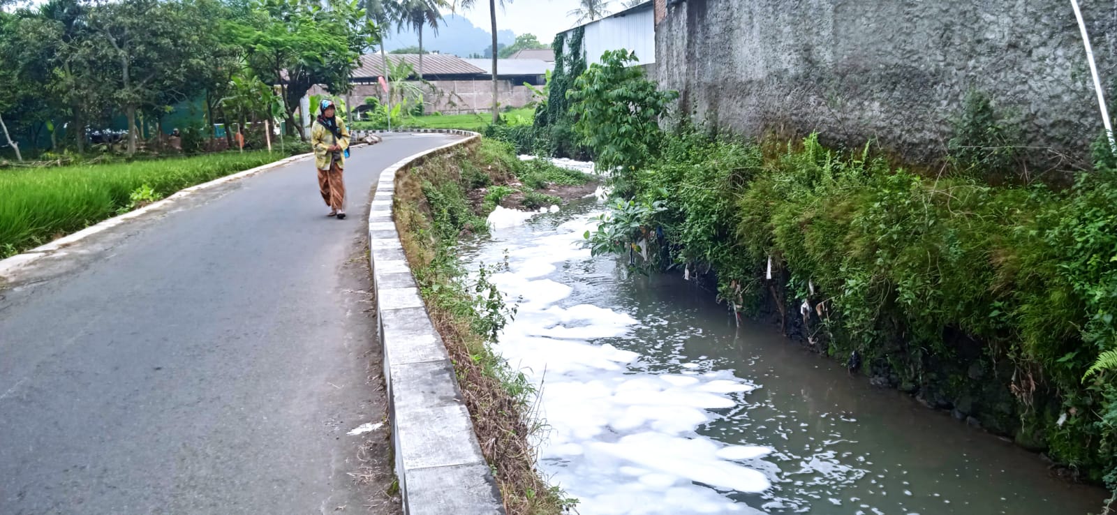 Air Sungai Gandekan di wilayah Tidar Selatan, Kecamatan Magelang Selatan, Kota Magelang terdapat buih pada Jumat (15/7/2022) pagi. (foto: istimewa)