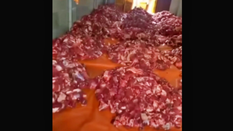 tumpukan daging kurban di sebuah dusun di banjarnegara