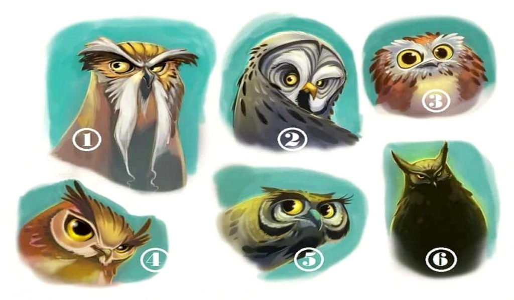 Pilih Burung Hantu yang Paling Menarik dan Dapatkan Nasihat Bijak untuk Kehidupan Anda