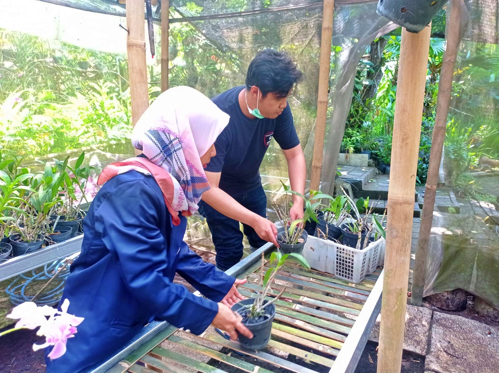 PPMT UNIMMA di Taman Anggrek