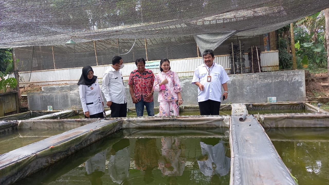 Vita Ervina Dorong Budi Daya Ikan Air Tawar di Magelang