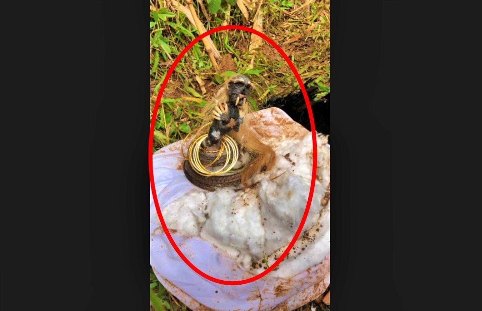 Benda mirip jenglot ditemukan warga bergelang emas dan terkubur dengan ayam cemani