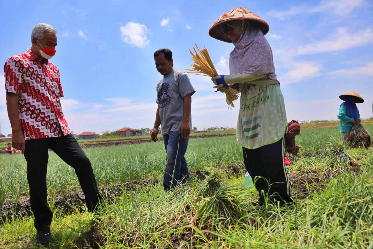 Ganjar saat berbincang dengan Petani Bawang Brebes