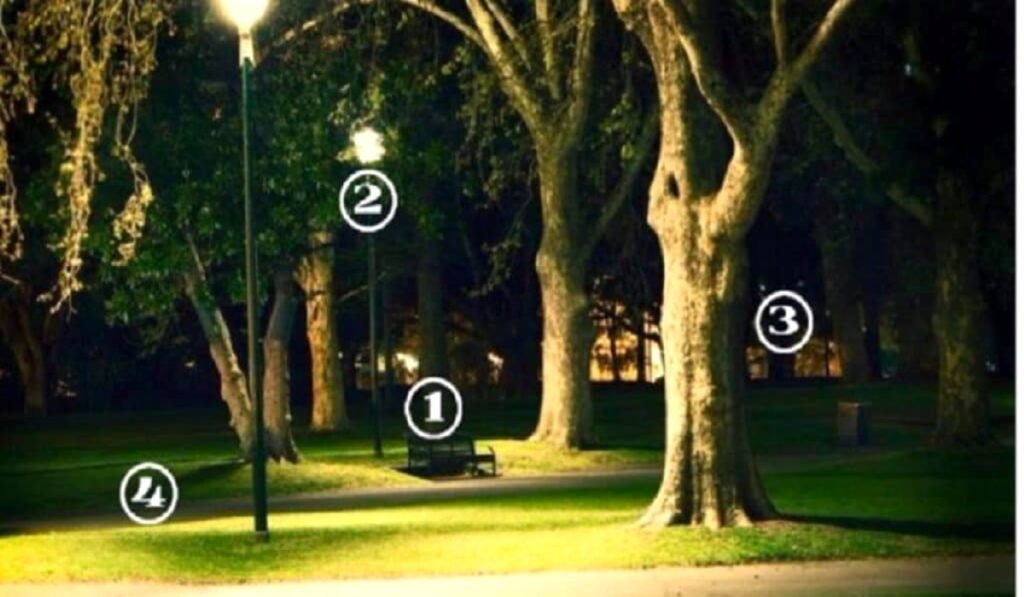 Tes Kepribadian: Area Mana yang Paling Aman Dalam Taman Ini? Bisa Ungkap Karakter Anda