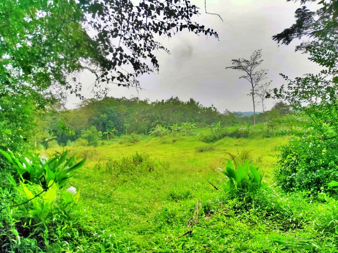Lahan bakal pembangunan TPST Regional Jateng di Magelang