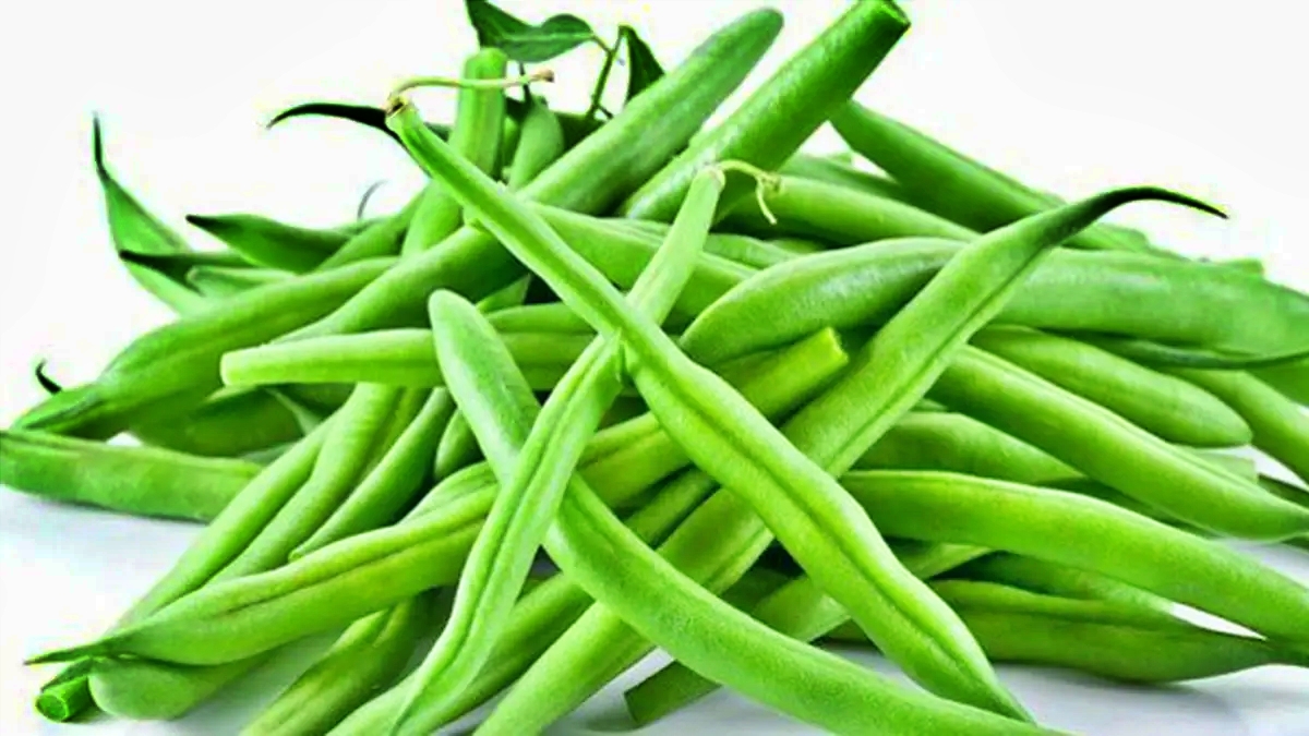 Sayur Buncis