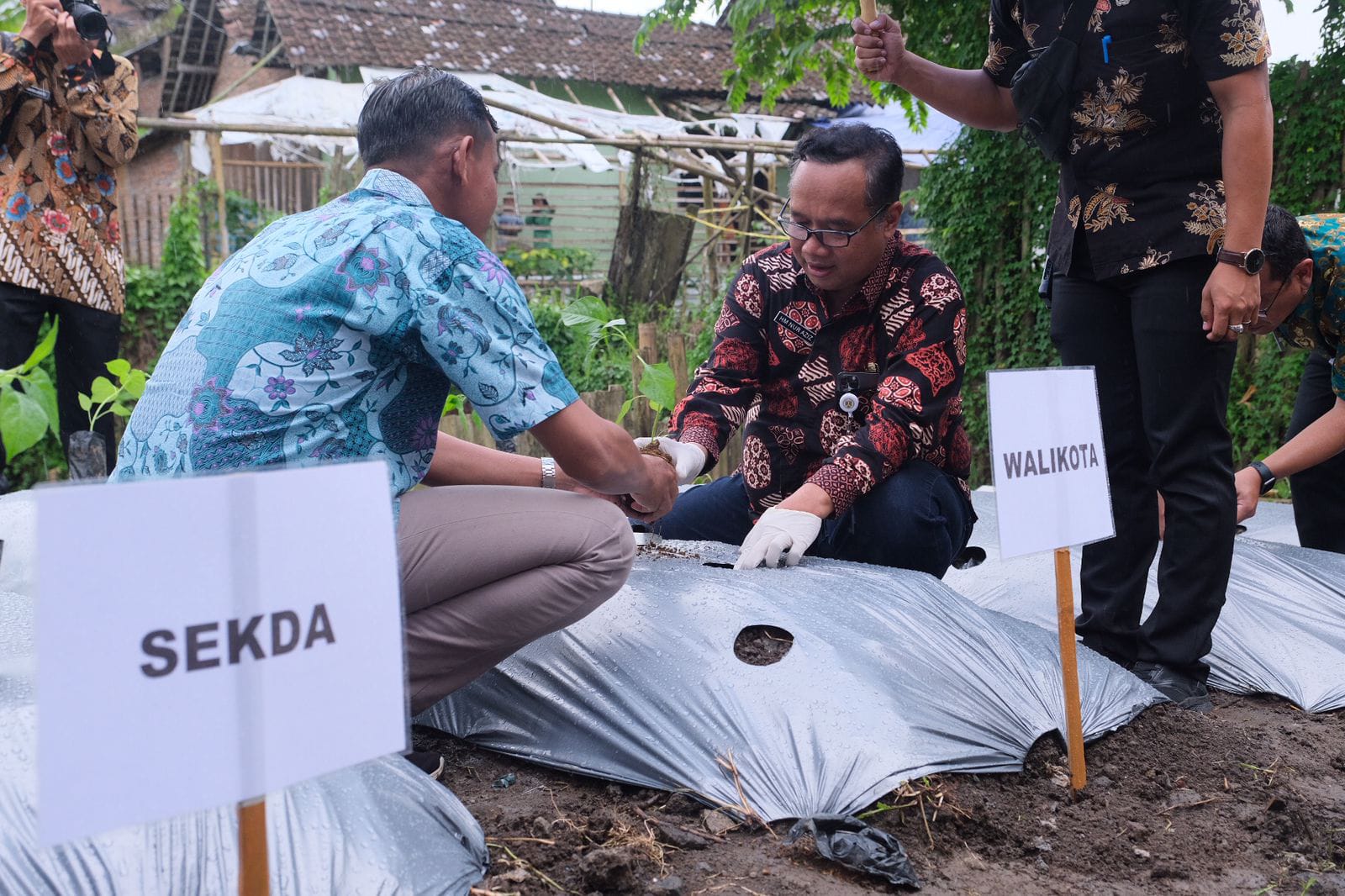 Pemkot Kucurkan DID Untuk Kembangkan Urban Farming di Kota Magelang