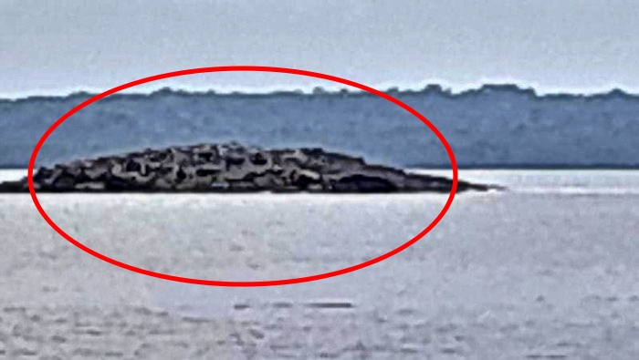 Muncul 'pulau' di Tanimbar usai gempa M 7,5_foto Antara
