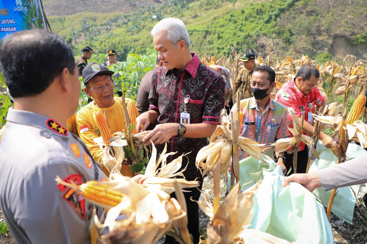 Ganjar: Pemanfaatan Hutan untuk Pertanian Tetap Harus Memperhatikan Kondusivitas Tanah