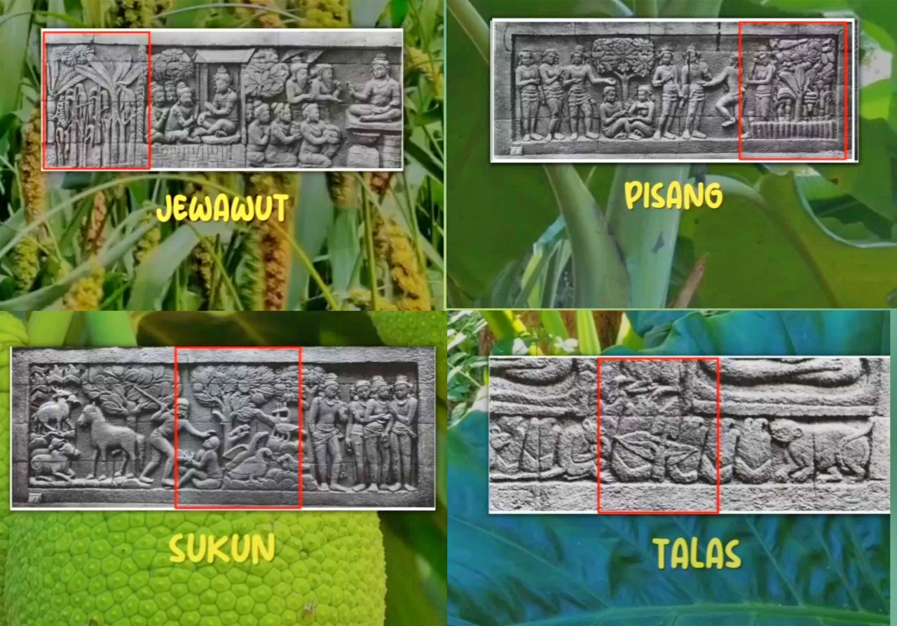 Empat tanaman pangan lokal nusantara yang terpahat di relief Borobudur