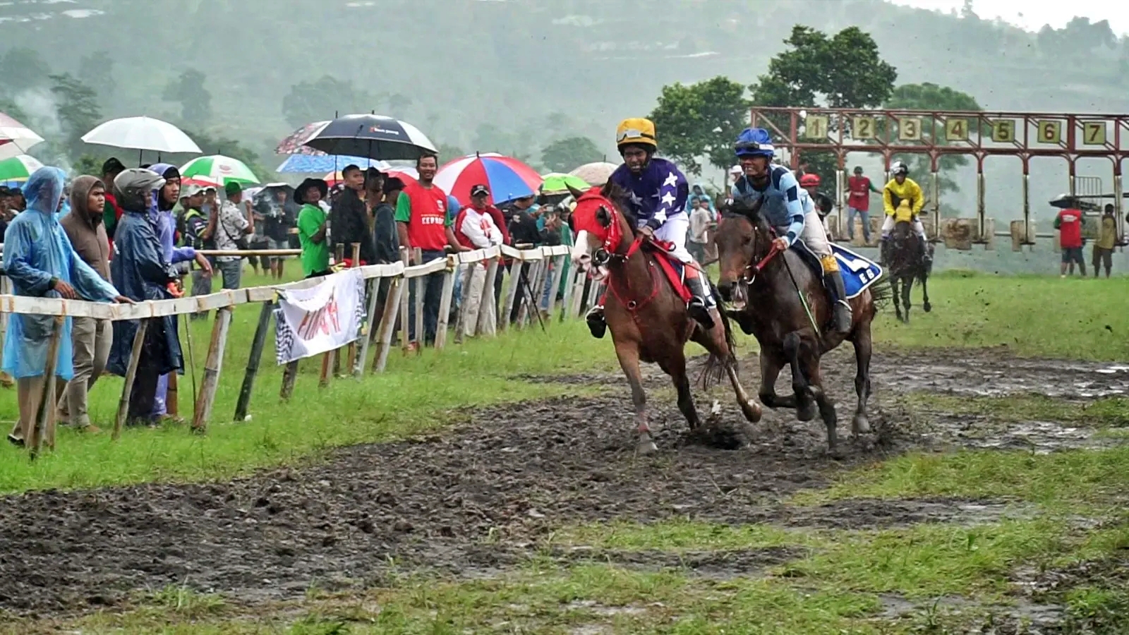 Lomba Pacuan Kuda di lereng Merapi-Merbabu