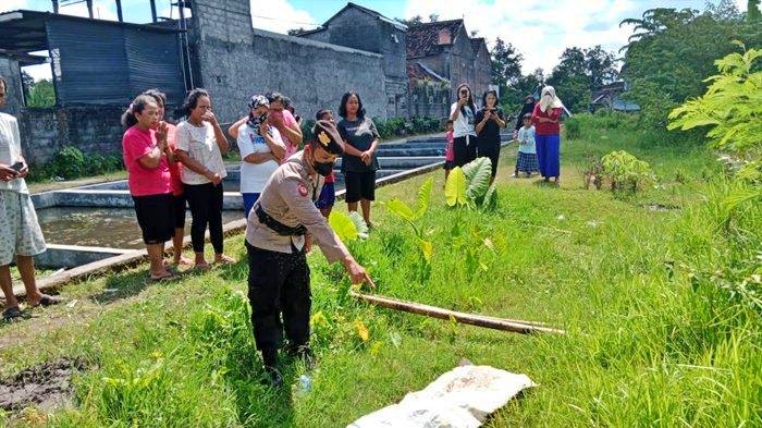 Penemuan mayat bayi di kolam ikan di Sleman