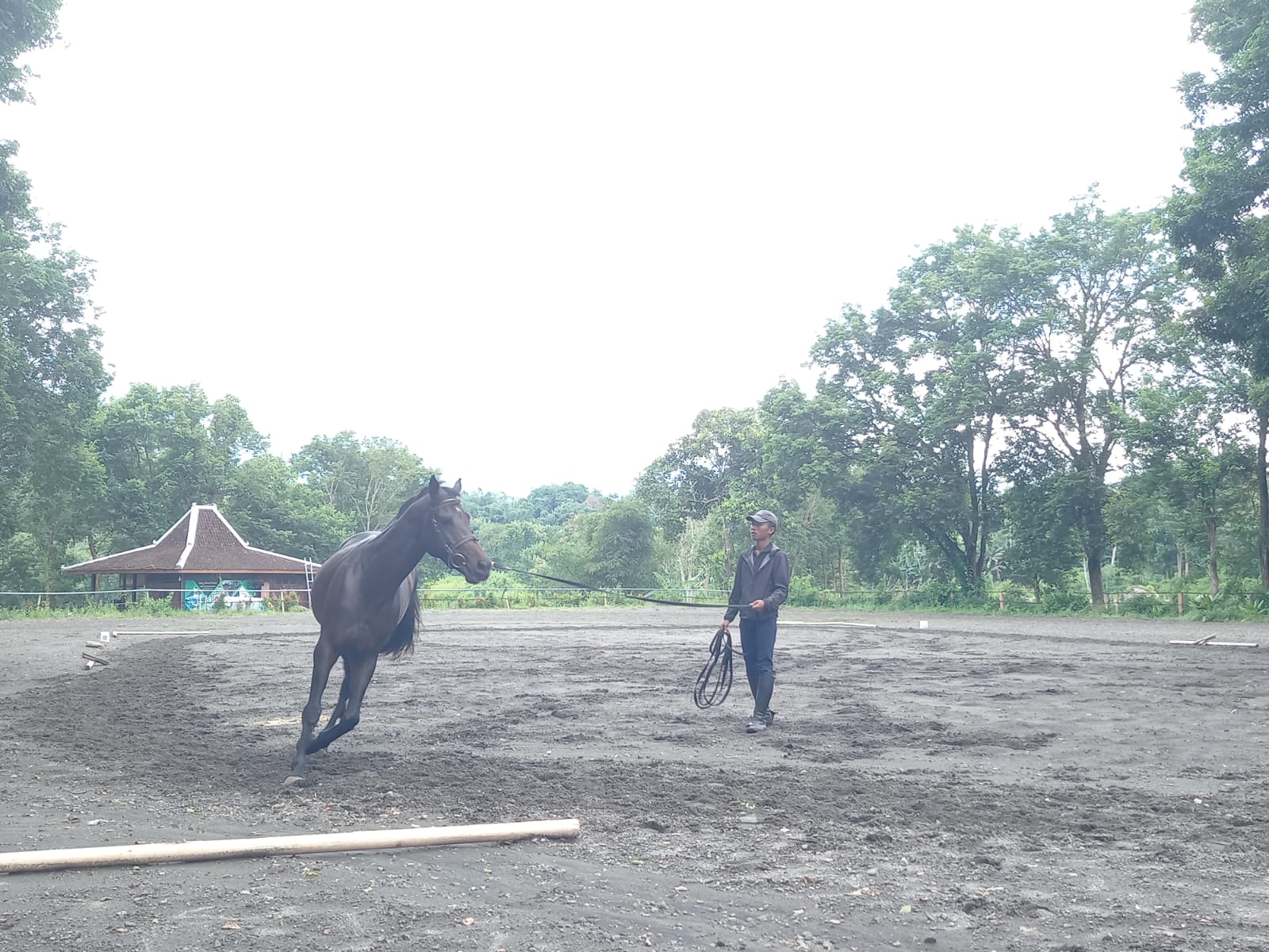 Kompetisi Berkuda Langgeng Araya Internal Cup 2023 di Magelang Bakal Digelar 18-19 Maret