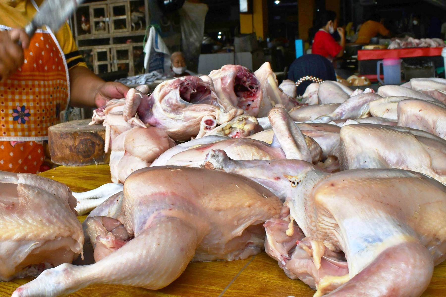ilustrasi ayam potong