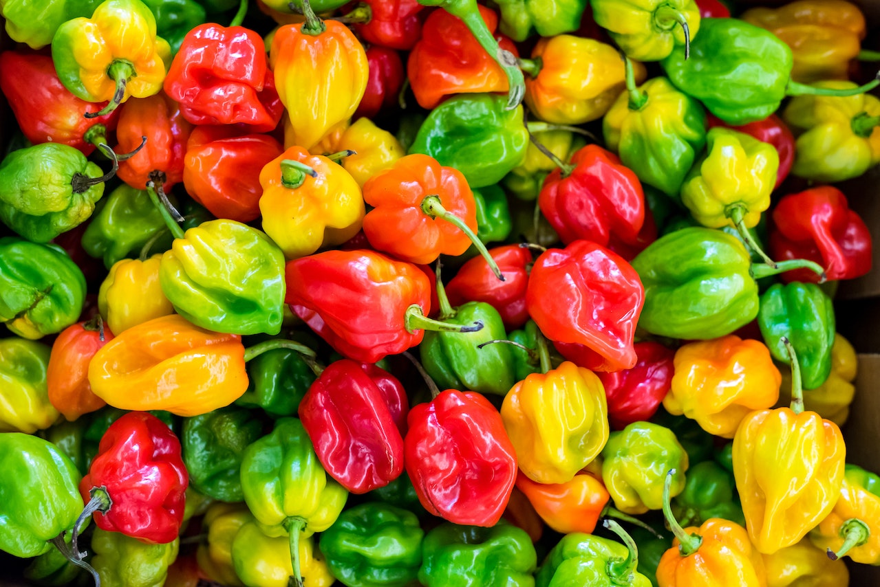 Ketahui Beragam Manfaat Paprika bagi Kesehatan