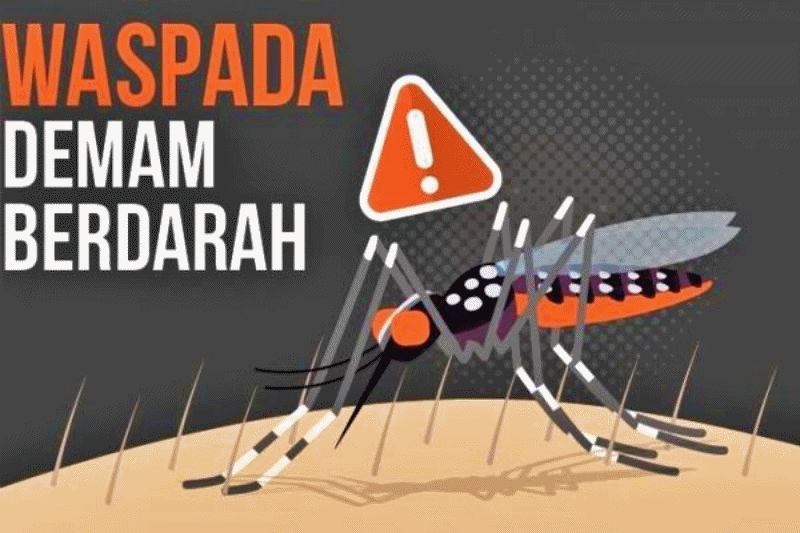 Demam berdarah dengue atau sering disebut DBD
