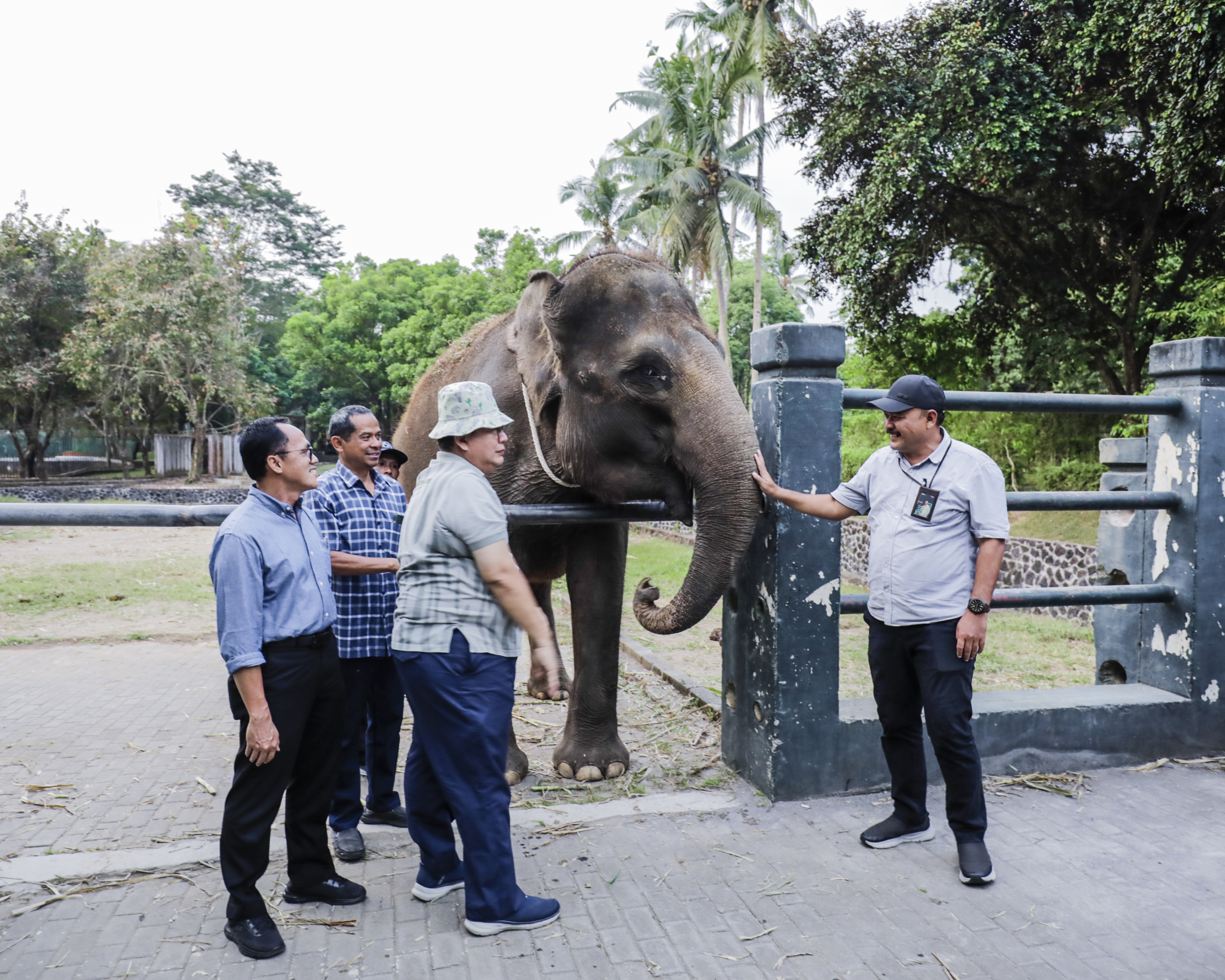 Semarang Zoo Terima Hibah 2 Gajah dari TWC Borobudur