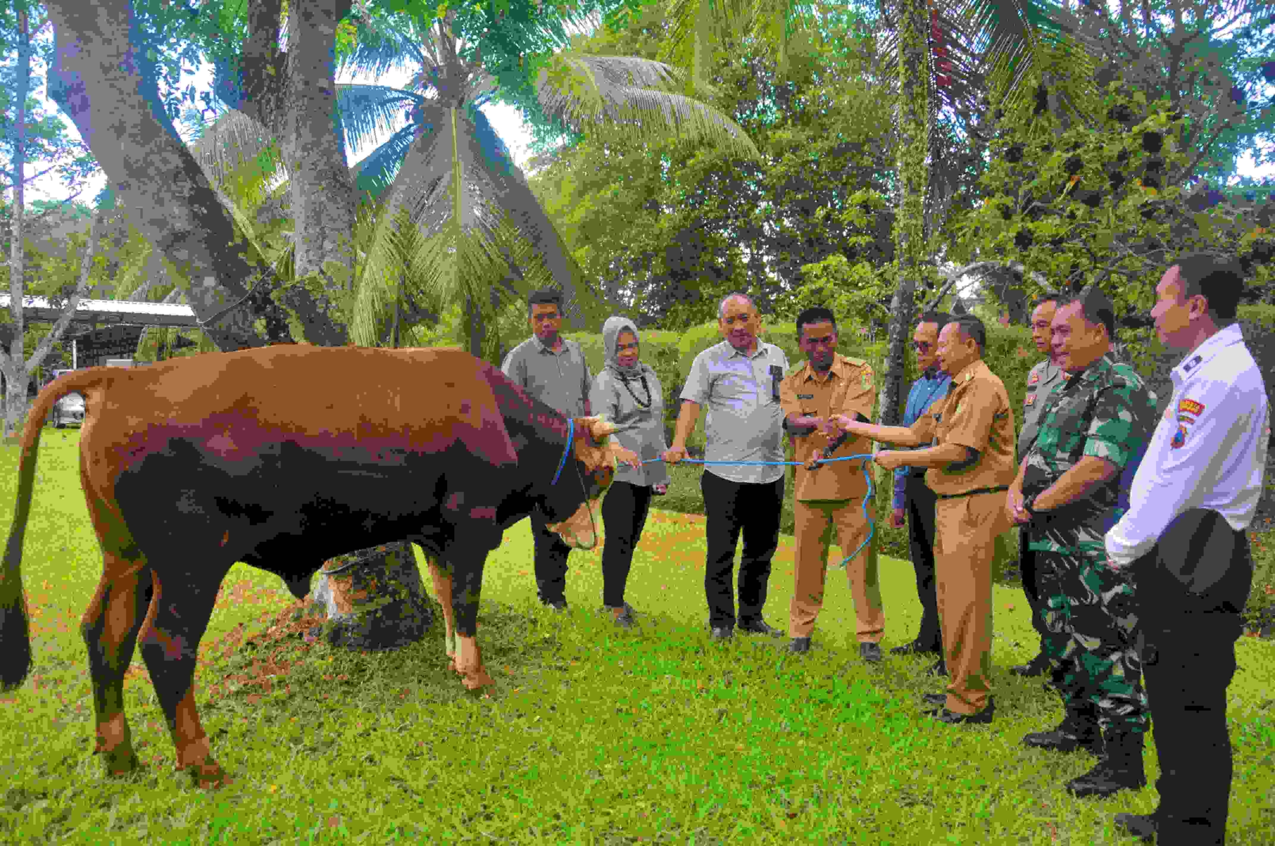 PT TWC berikan bantuan 2 ekor sapi kurbankepada warga Borobudur