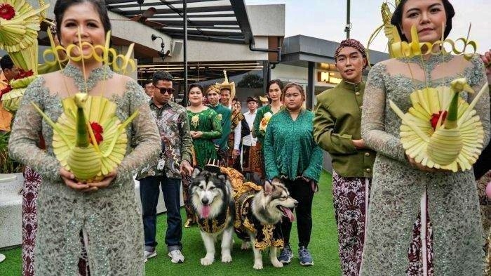 Pernikahan mewah anjing Jojo dan Luna mendapatkan kritik dari sejumlah warganet_dok Valentine Chandra (Valen) via Kompas.com