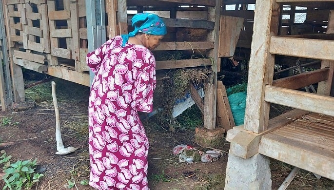 pemilik belasan ekor kambing yang dicuri dengan cara menyembelihnya di kandang hanya bisa pasrah ketika melihat hewan peliharaannya raib