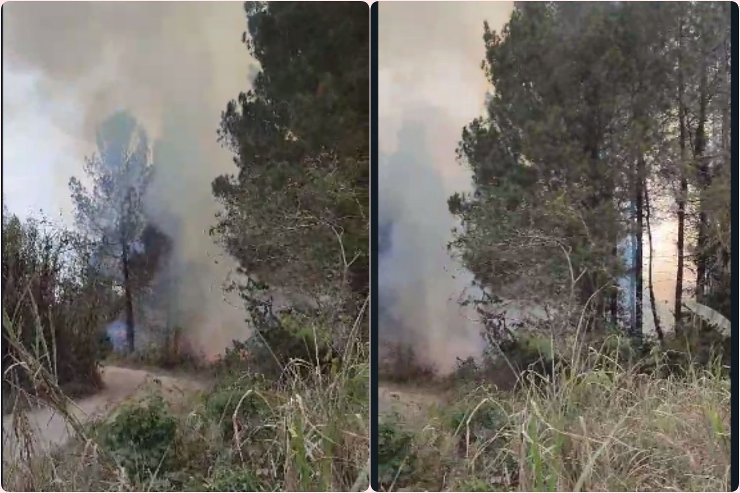 Tangkapan layar video kebakaran lahan di hutan jurang jero merapi Magelang