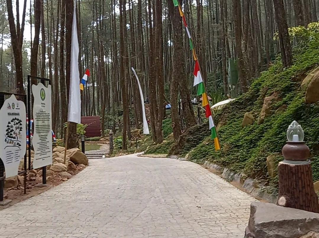Wisata ke Pinea Forest Mangli Ngablak Magelang, Menikmati Alam Sambil Relaksasi