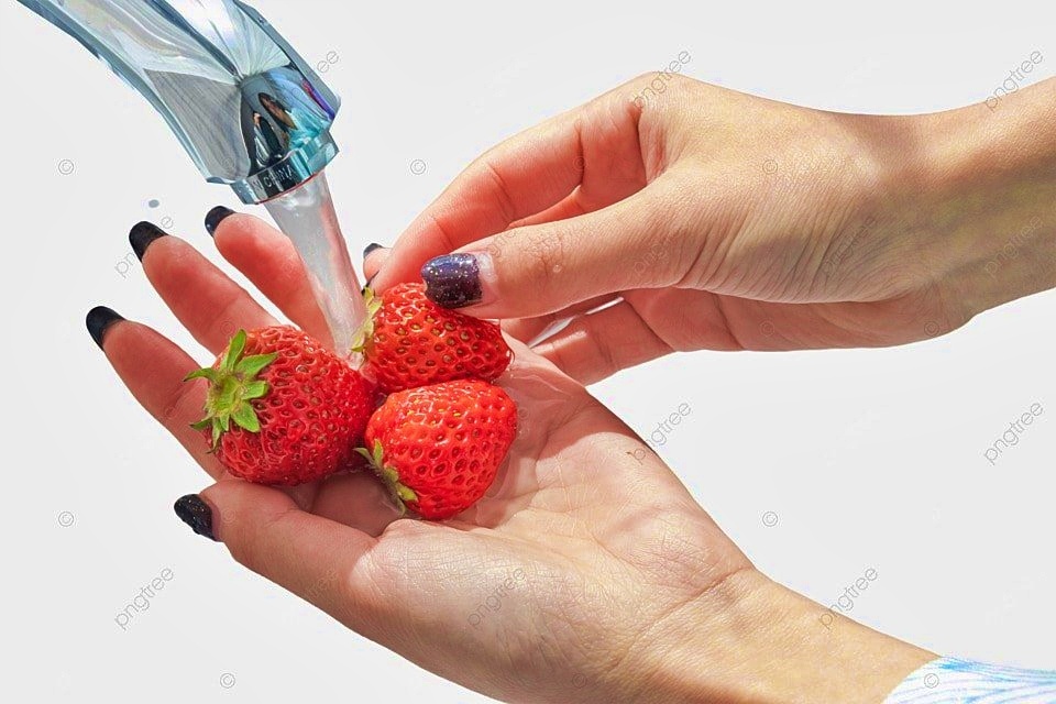 mencuci buah strawbery